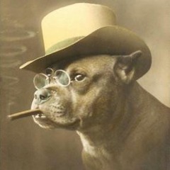 A$T㋡N           MΔNN㋡R$