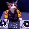joaovitor7821@hotmail.com