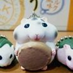 Cotton Kotton