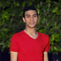 Shaker Ahmed Abo Abdalla