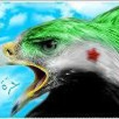 Maher Al Homsi