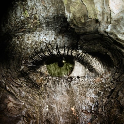 9th Chords Slide Progress