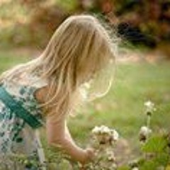 نشيد أين الصديق