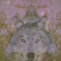 WOLF CATCHER