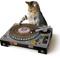 Anonymous - DJ