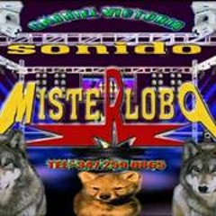 Nortenas Carlos Y Jose Dl Lobo Mix