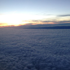 DigitalDreamsIncorporated