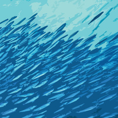 Momentous Collective