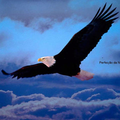 ashraf fayez