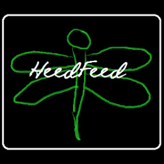 HeedFeed