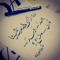 BatoolMakhlooq