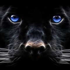 N.Blackka