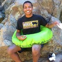 Cypress Papabear Williams