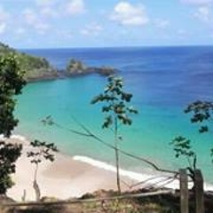 Sathya Raghu V. Mokkapati