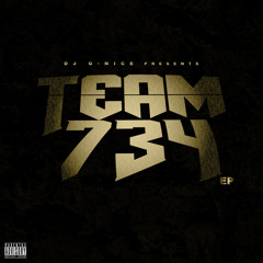 Team734