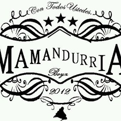 Mamandurrias Boyz DJs