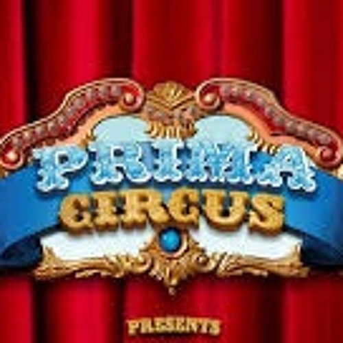 Prima Circus’s avatar