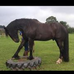 Lisa Trappistpunk-Simpson