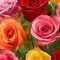 user344190512