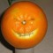 ORGANIC-ORANGE