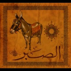 ramy mabrouk