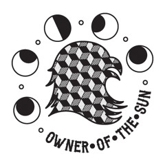 OWNER OF THE SUN