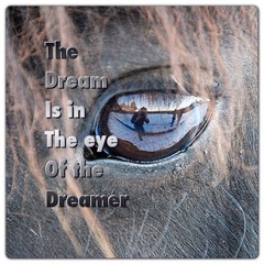 eyeof_thedreamer