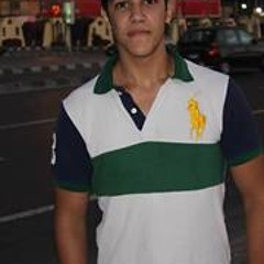 Mohamed Hany Shawky