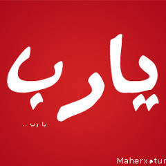 user203296712