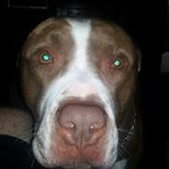 Devon Patrick Sean Pruitt