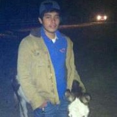 Jose SkateitBoy Rosas