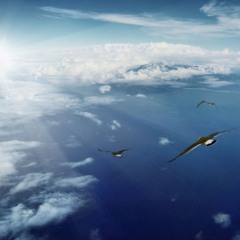 octwind