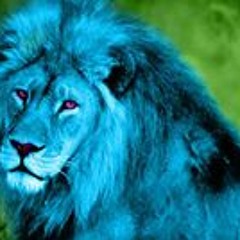 Skittz A Nuday Stewart