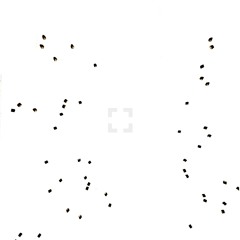 Clean White Space