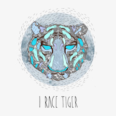 I Race Tiger