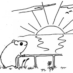 Ramblin' Beat Kitano