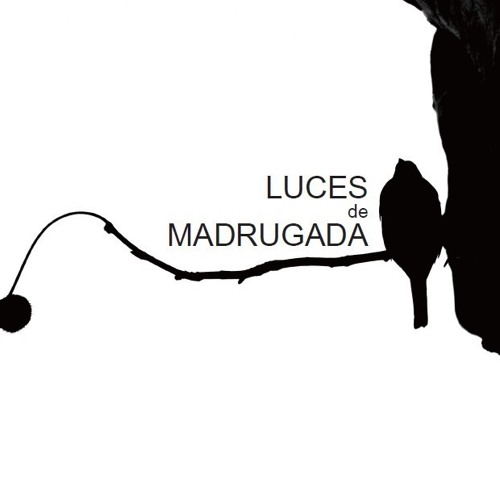 LUCES DE MADRUGADA’s avatar