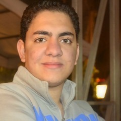 Hany El Sayed