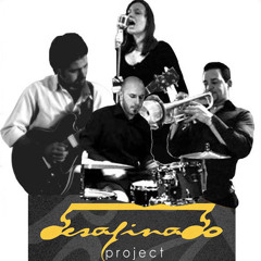 desafinadoproject