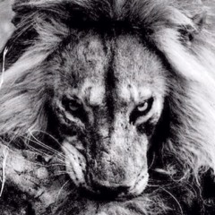 http://soundcloud.com/dh