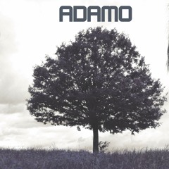TheAdamoProject