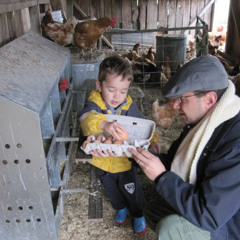 BabaM