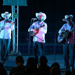 Trío Estampa Huasteca