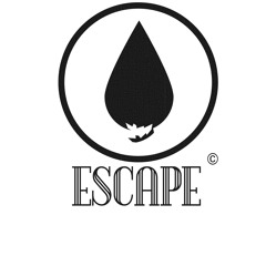 Escape Miami