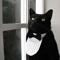 ~Meow