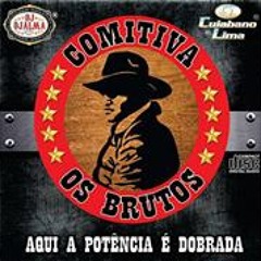 09 - COMITIVA OS BRUTOS VOLUME 2 - DJ ROBSON CAETANO