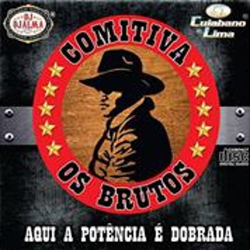 06 - COMITIVA OS BRUTOS VOLUME 2 - DJ ROBSON CAETANO