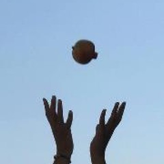 Granatapfel Blumenwiese