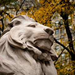 Marble Lions