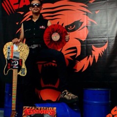 Fery Tiger